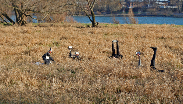 Menschen liegen im Gras und halten Tablets mit ausgestreckten Armen und Beinen hoch.